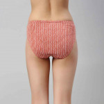 Women Pack of 2 Assorted Mid Waist Full coverage Cotton Antimicrobial Briefs